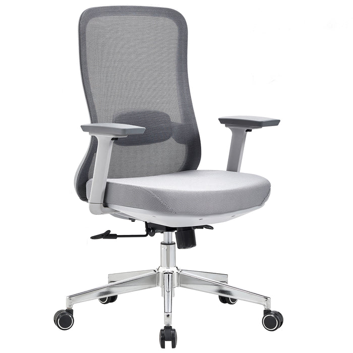 VOFFOV® Office Chair with Lumbar Support 3D Armrest, Gray