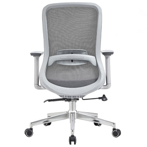 VOFFOV® Office Chair with Lumbar Support 3D Armrest, Gray